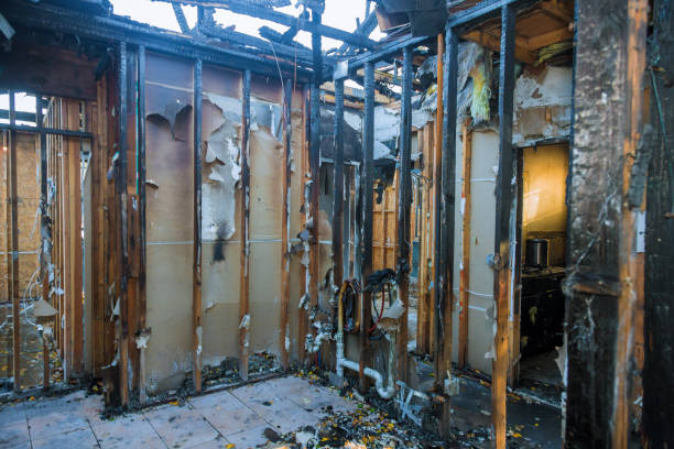 Professional Fire Damage Removal technician working in Picture Rocks, AZ
